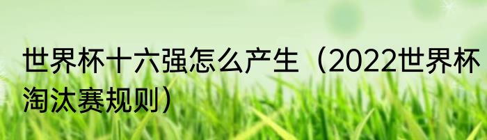 世界杯十六强怎么产生（2022世界杯淘汰赛规则）