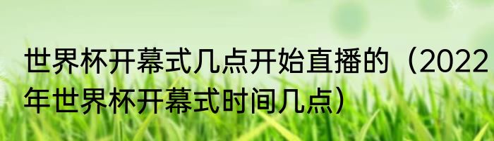 世界杯开幕式几点开始直播的（2022年世界杯开幕式时间几点）