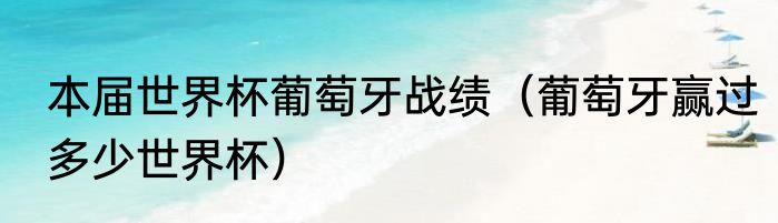 本届世界杯葡萄牙战绩（葡萄牙赢过多少世界杯）