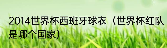 2014世界杯西班牙球衣（世界杯红队是哪个国家）
