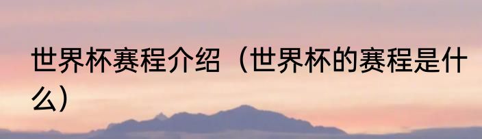 世界杯赛程介绍（世界杯的赛程是什么）