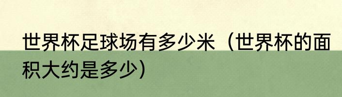 世界杯足球场有多少米（世界杯的面积大约是多少）