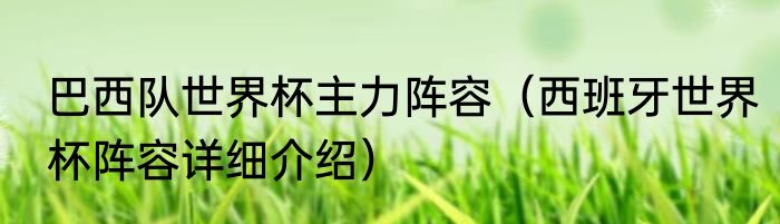 巴西队世界杯主力阵容（西班牙世界杯阵容详细介绍）