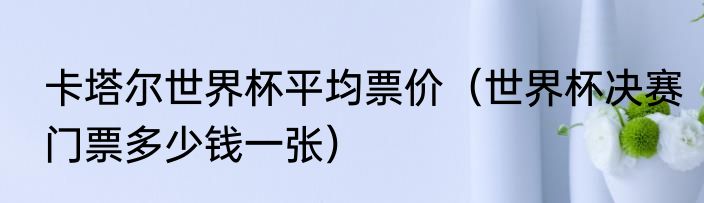 卡塔尔世界杯平均票价（世界杯决赛门票多少钱一张）