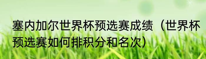 塞内加尔世界杯预选赛成绩（世界杯预选赛如何排积分和名次）