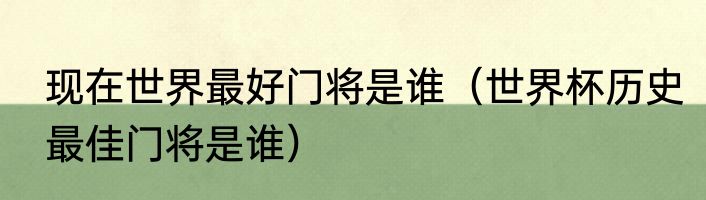 现在世界最好门将是谁（世界杯历史最佳门将是谁）