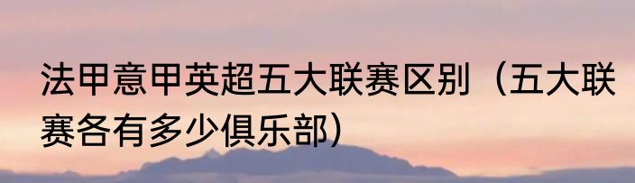 法甲意甲英超五大联赛区别（五大联赛各有多少俱乐部）