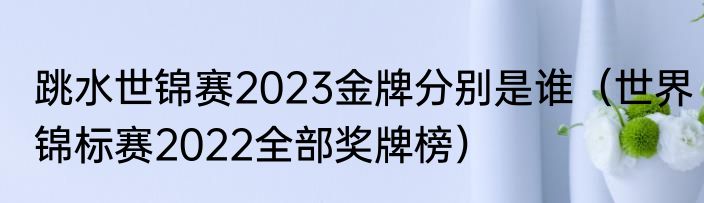 跳水世锦赛2023金牌分别是谁（世界锦标赛2022全部奖牌榜）