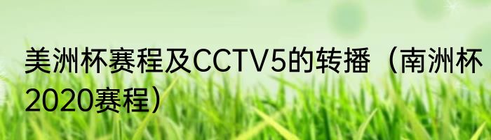 美洲杯赛程及CCTV5的转播（南洲杯2020赛程）