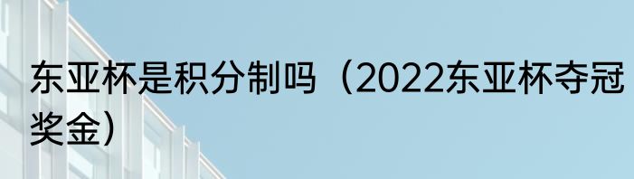 东亚杯是积分制吗（2022东亚杯夺冠奖金）