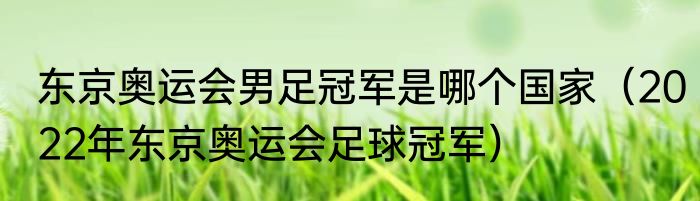 东京奥运会男足冠军是哪个国家（2022年东京奥运会足球冠军）