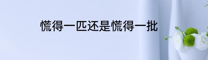 慌得一匹还是慌得一批