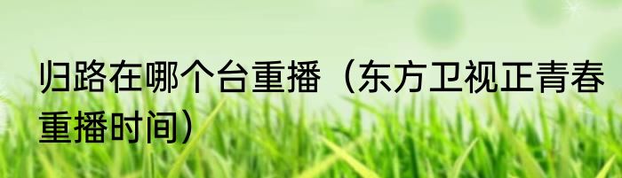 归路在哪个台重播（东方卫视正青春重播时间）