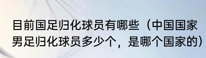 目前国足归化球员有哪些（中国国家男足归化球员多少个，是哪个国家的）