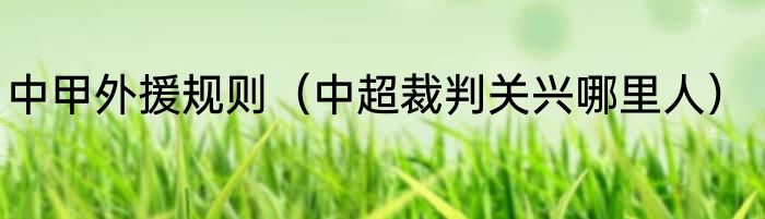 中甲外援规则（中超裁判关兴哪里人）