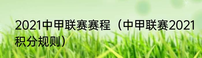 2021中甲联赛赛程（中甲联赛2021积分规则）