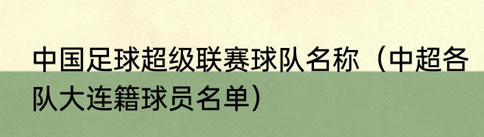 中国足球超级联赛球队名称（中超各队大连籍球员名单）