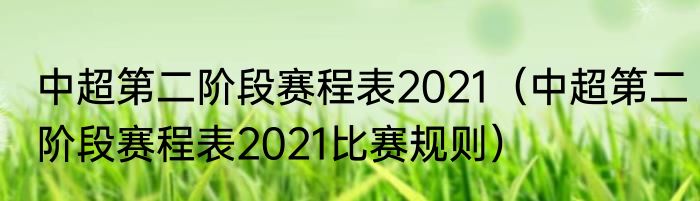 中超第二阶段赛程表2021（中超第二阶段赛程表2021比赛规则）