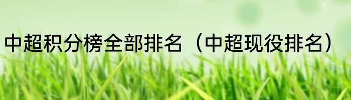 中超积分榜全部排名（中超现役排名）