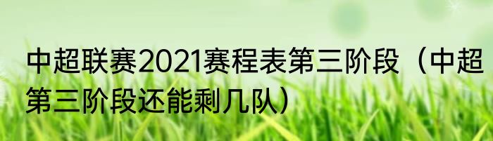 中超联赛2021赛程表第三阶段（中超第三阶段还能剩几队）
