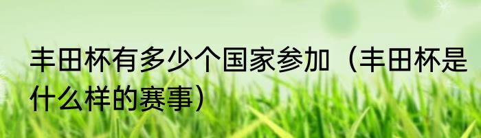 丰田杯有多少个国家参加（丰田杯是什么样的赛事）