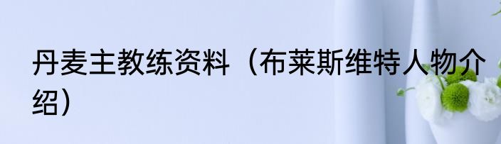 丹麦主教练资料（布莱斯维特人物介绍）