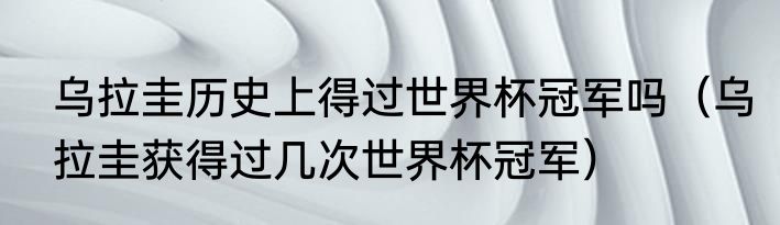 乌拉圭历史上得过世界杯冠军吗（乌拉圭获得过几次世界杯冠军）