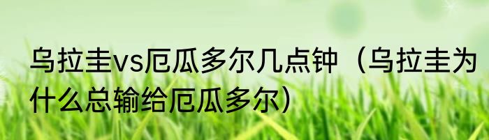 乌拉圭vs厄瓜多尔几点钟（乌拉圭为什么总输给厄瓜多尔）