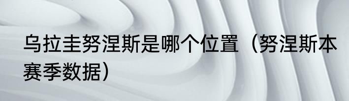 乌拉圭努涅斯是哪个位置（努涅斯本赛季数据）