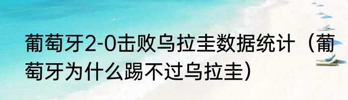 葡萄牙2-0击败乌拉圭数据统计（葡萄牙为什么踢不过乌拉圭）