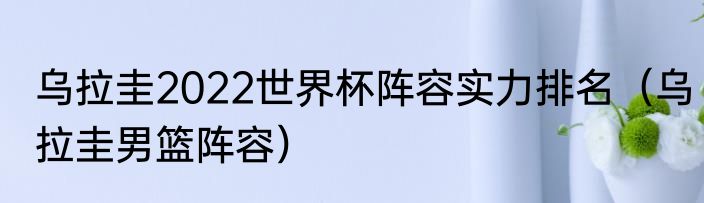 乌拉圭2022世界杯阵容实力排名（乌拉圭男篮阵容）
