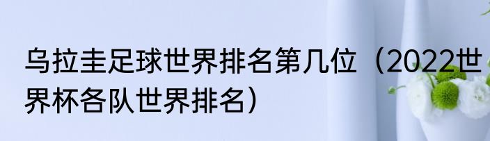 乌拉圭足球世界排名第几位（2022世界杯各队世界排名）