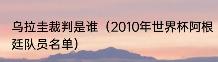 乌拉圭裁判是谁（2010年世界杯阿根廷队员名单）