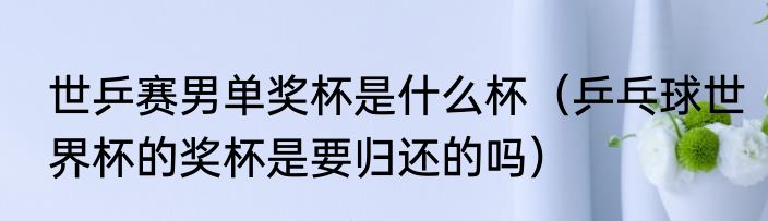 世乒赛男单奖杯是什么杯（乒乓球世界杯的奖杯是要归还的吗）