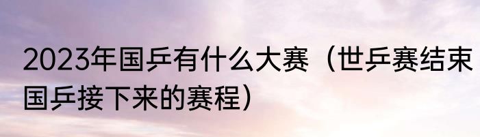 2023年国乒有什么大赛（世乒赛结束国乒接下来的赛程）