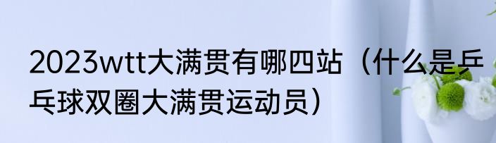 2023wtt大满贯有哪四站（什么是乒乓球双圈大满贯运动员）