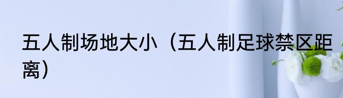 五人制场地大小（五人制足球禁区距离）