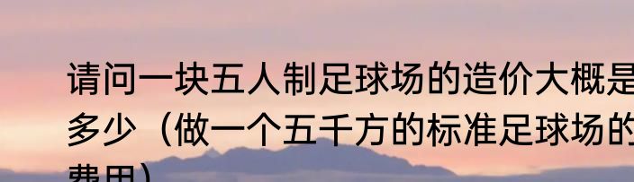 请问一块五人制足球场的造价大概是多少（做一个五千方的标准足球场的费用）