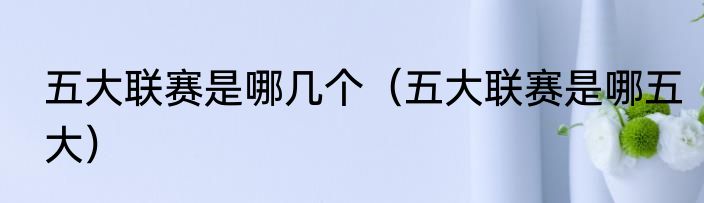五大联赛是哪几个（五大联赛是哪五大）
