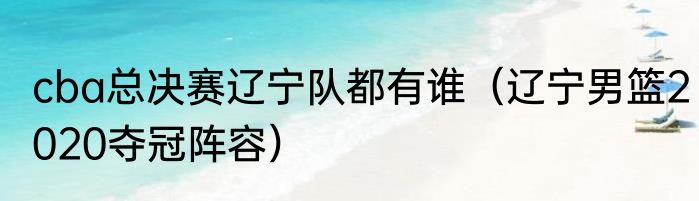 cba总决赛辽宁队都有谁（辽宁男篮2020夺冠阵容）