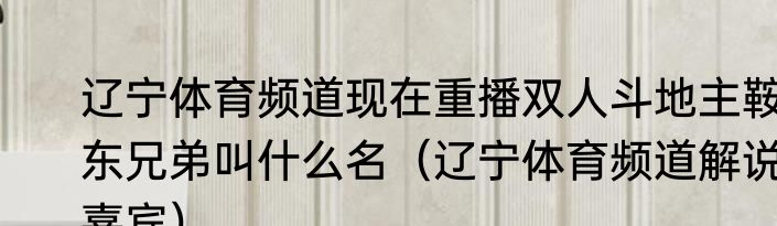 辽宁体育频道现在重播双人斗地主鞍东兄弟叫什么名（辽宁体育频道解说嘉宾）