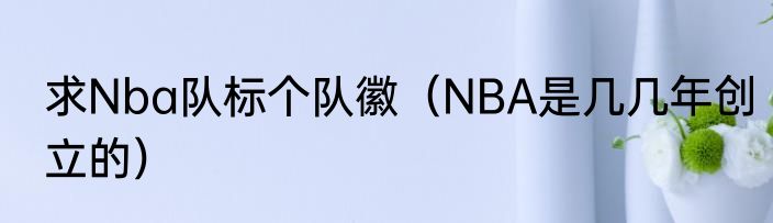 求Nba队标个队徽（NBA是几几年创立的）