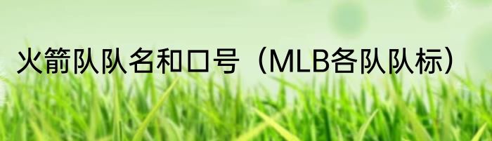 火箭队队名和口号（MLB各队队标）