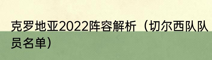 克罗地亚2022阵容解析（切尔西队队员名单）