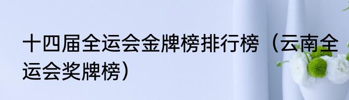 十四届全运会金牌榜排行榜（云南全运会奖牌榜）