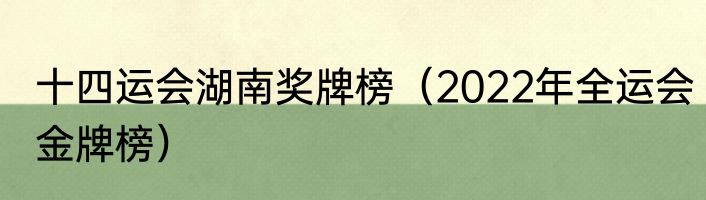 十四运会湖南奖牌榜（2022年全运会金牌榜）