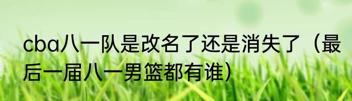 cba八一队是改名了还是消失了（最后一届八一男篮都有谁）