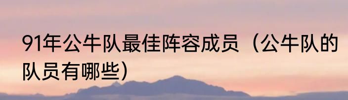 91年公牛队最佳阵容成员（公牛队的队员有哪些）