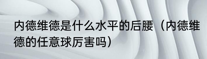 内德维德是什么水平的后腰（内德维德的任意球厉害吗）
