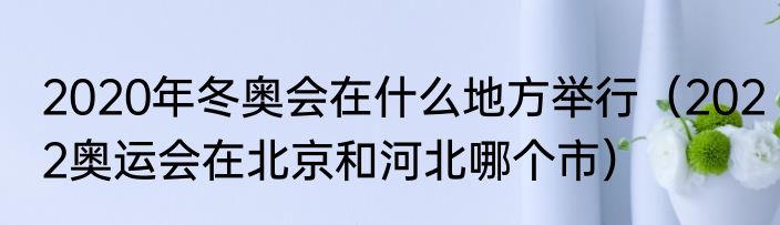 2020年冬奥会在什么地方举行(2022奥运会在北京和河北哪个市)